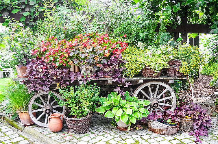 Vakantiehuis Haus Schwärzel