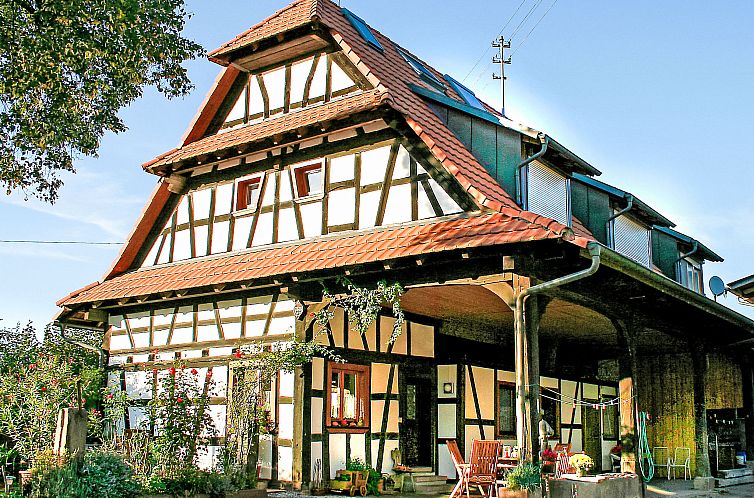 Guest house 03112203 - Apartment Black Forest - Appartement Dieboldshof