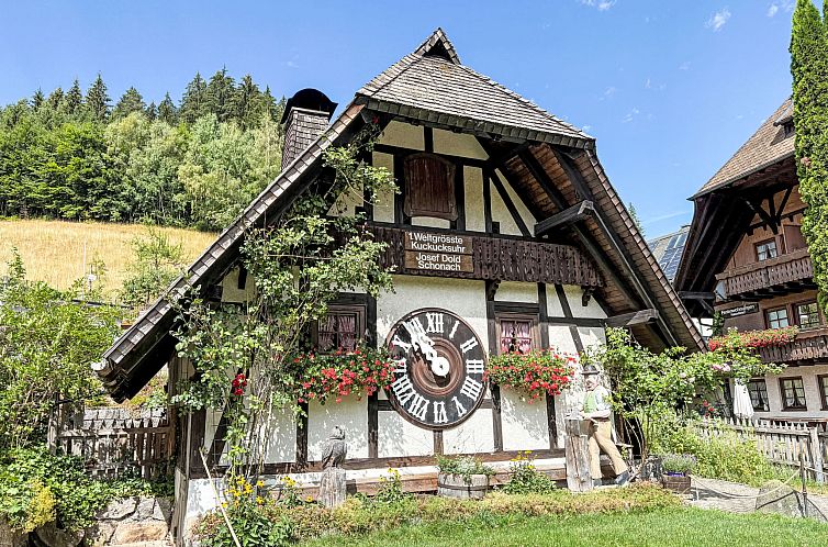 Appartement Schwarzwaldblick