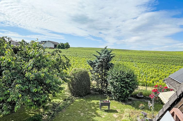 Appartement Weinbergblick