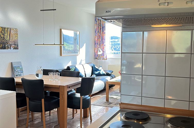 Appartement Schwarzwaldblick III