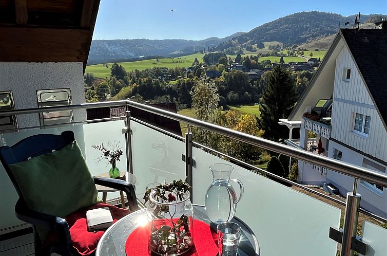 Appartement Schwarzwaldblick III