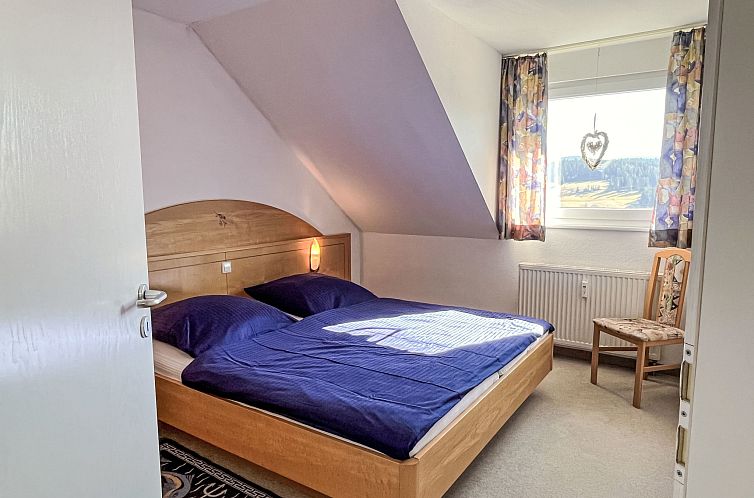 Appartement Schwarzwaldblick IV