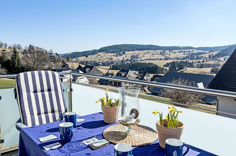 Appartement Schwarzwaldblick IV
