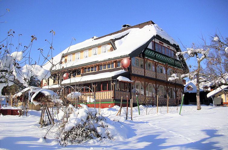 Unterkunft 03113109 - Appartement Schwarzwald - Appartement Wannenhof großzügig