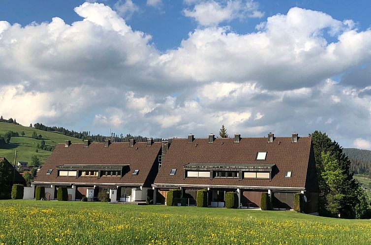 Unterkunft 03113110 - Ferienhaus Schwarzwald - Vakantiehuis mit Terrasse und offenem Kamin