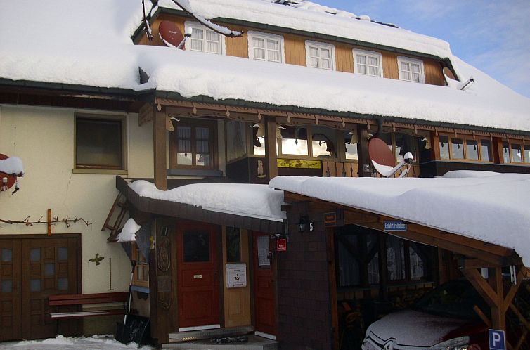 Unterkunft 03113111 - Appartement Schwarzwald - Appartement Wannenhof Romantik