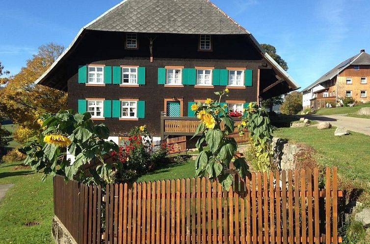 Unterkunft 03113113 - Appartement Schwarzwald - Appartement Maierhof