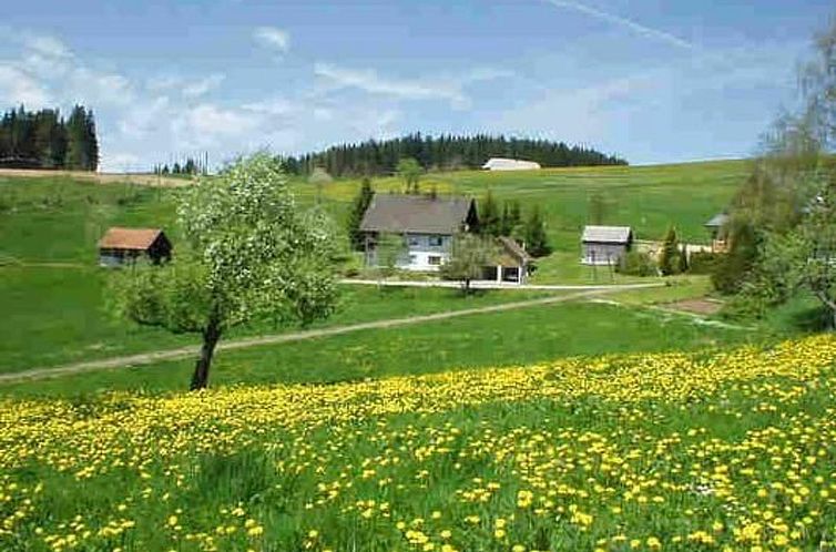 Guest house 03113306 - Apartment Black Forest - Appartement Appartement mit Garten in Schwärzenbach