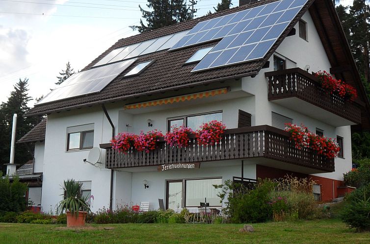 Guest house 03113401 - Apartment Black Forest - Appartement Gaby