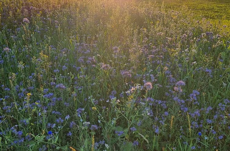 Appartement Wohnung Nr.23