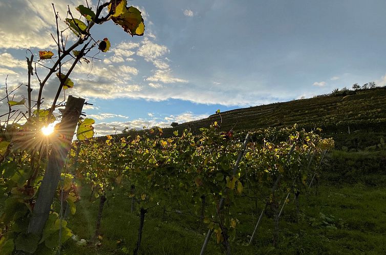 Appartement am Weinberg