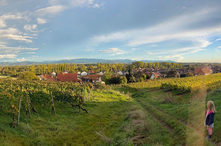 Appartement am Weinberg