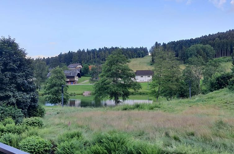 Vakantiehuis in Herrischried