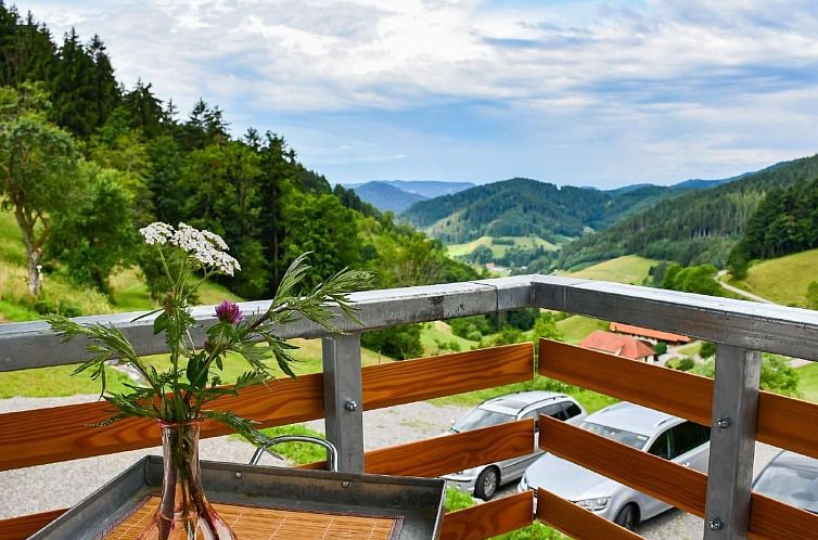 Appartement FeWo mit Whirlpool und Infrarotsauna