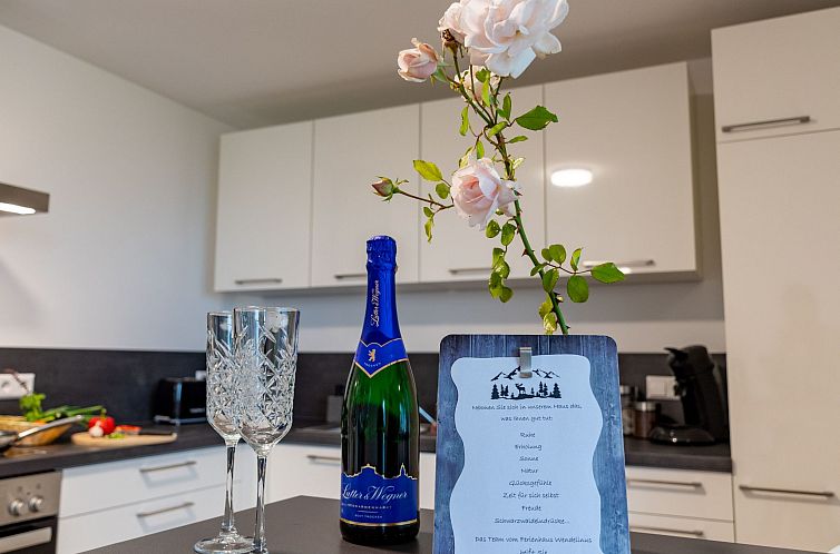 Appartement FeWo mit Whirlpool und Infrarotsauna