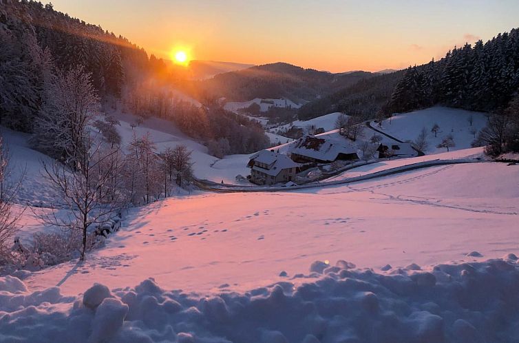 Appartement FeWo mit Whirlpool und Fass-Sauna im Schwarzwald