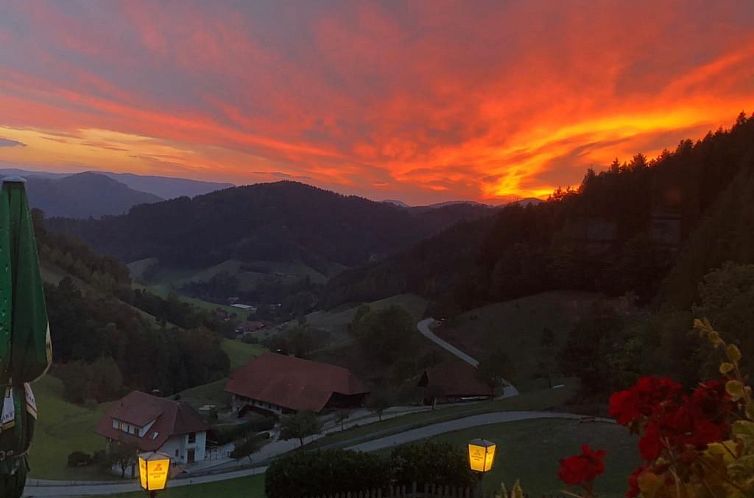Appartement FeWo mit Whirlpool und Fass-Sauna im Schwarzwald