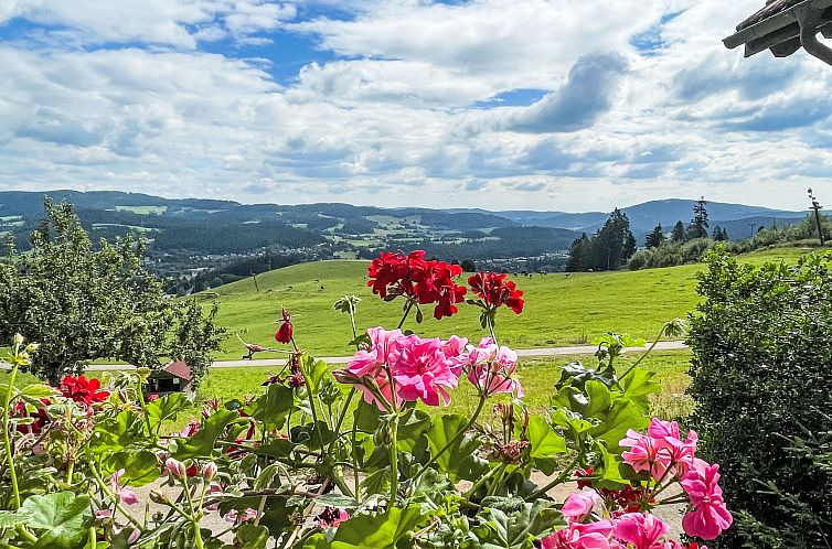 Appartement Mühlenmichelshäusle