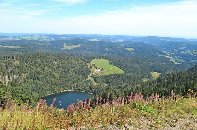 Appartement Haus Ganter