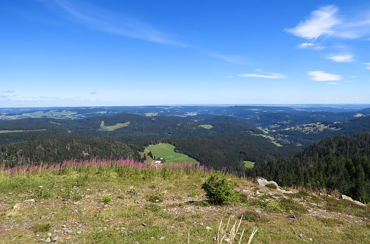 Appartement Haus Ganter