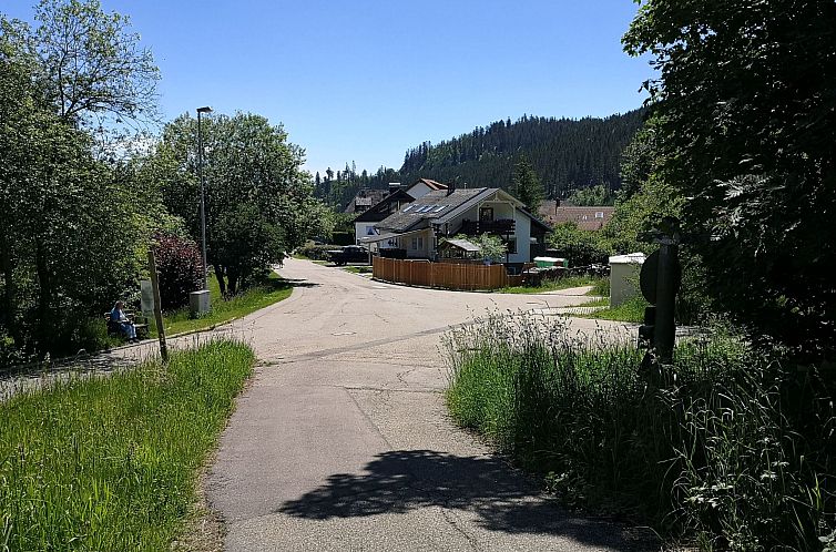 Appartement Haus Maria Hochschwarzwald, Garten umzäunt, Wal