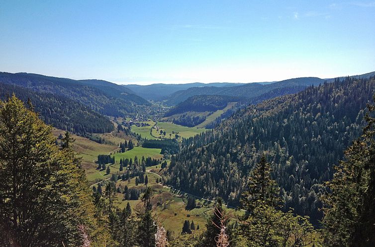Appartement Haus Maria Hochschwarzwald, Garten umzäunt, Wal
