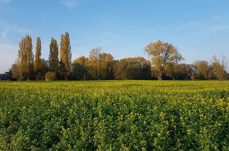 Vakantiehuis in Zemst