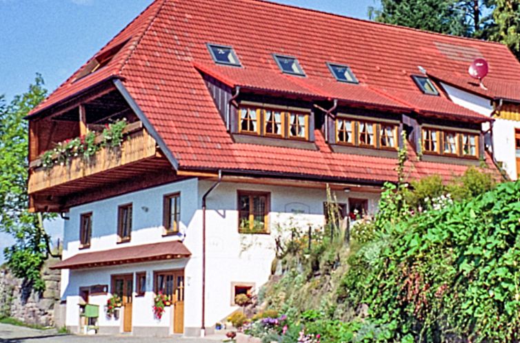 Unterkunft 0311901 - Appartement Schwarzwald - Appartement Biohof Herrenweg
