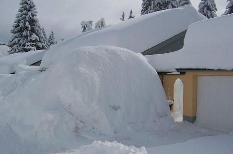 Appartement Wohnung in Schönwald mit Garten und Terrasse