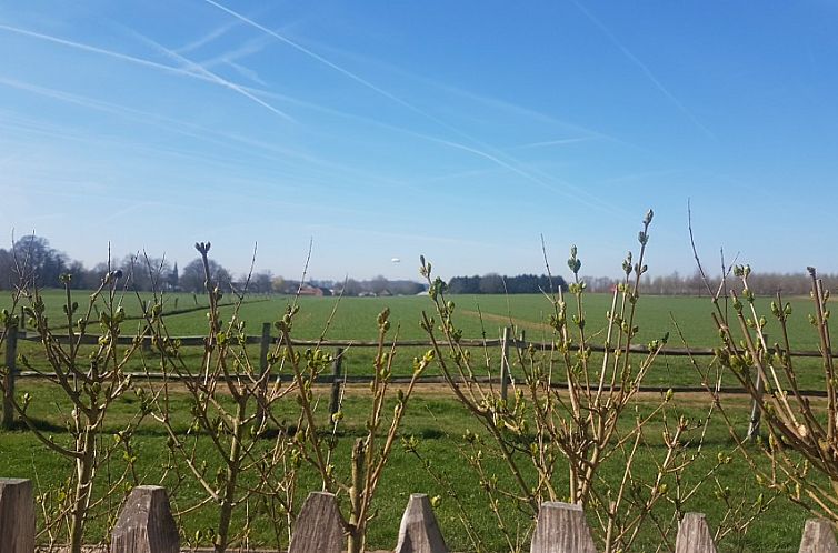 Witte Hoef
