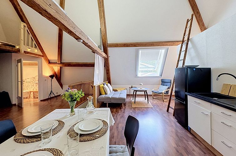 Appartement Jupiter Loft