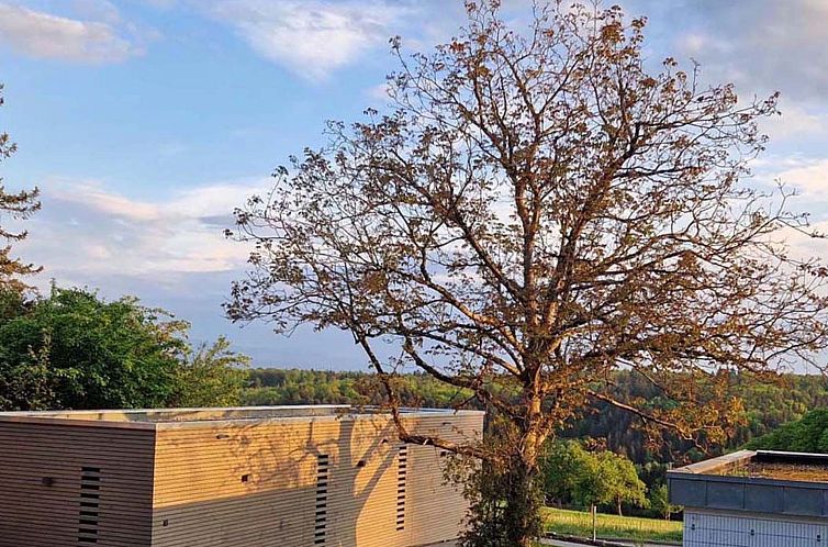 Vakantiehuis Tinyhaus Adam