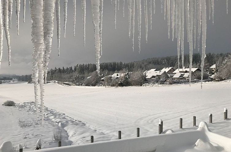 Appartement Haus Ketterer
