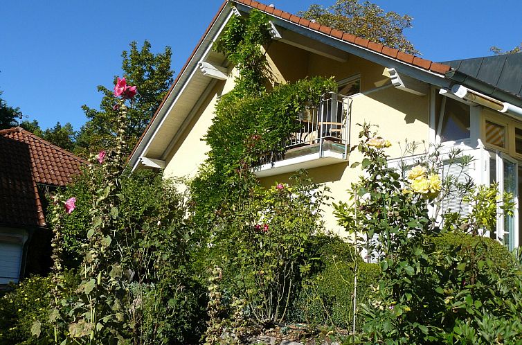 Appartement Haus Ahorn Ferienwohnung