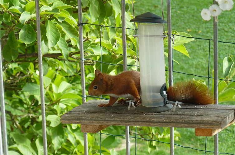 Appartement Ahorn Studio in Bad Dürrheim