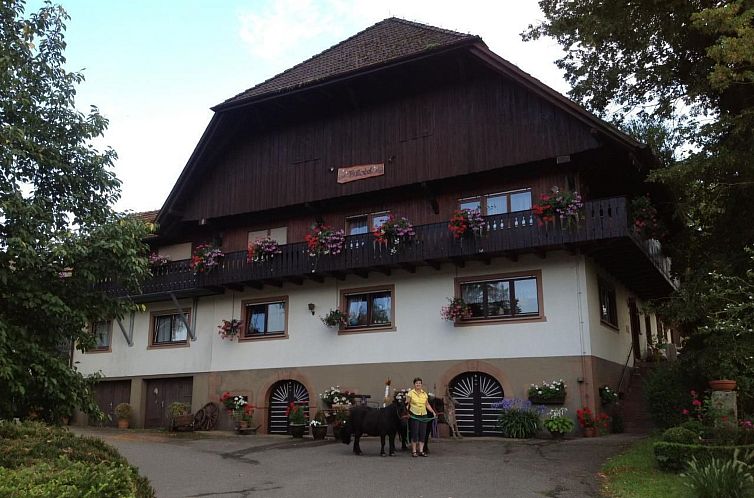Guest house 03121901 - Apartment Black Forest - Appartement Wohnung in Unterharmersbach mit Garten und Grill