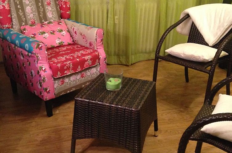 Appartement Wohnung in Unterharmersbach mit Garten und Grill