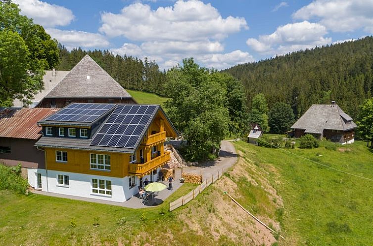 Geniet van de serene natuur rondom Vakantiehuis in Vohrenbach, perfect voor een ontspannend verblijf in het Zwarte Woud.