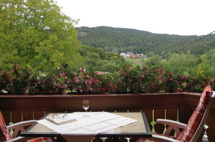 Unterkunft 03128901 - Appartement Schwarzwald - Appartement Appartement in Wittenschwand