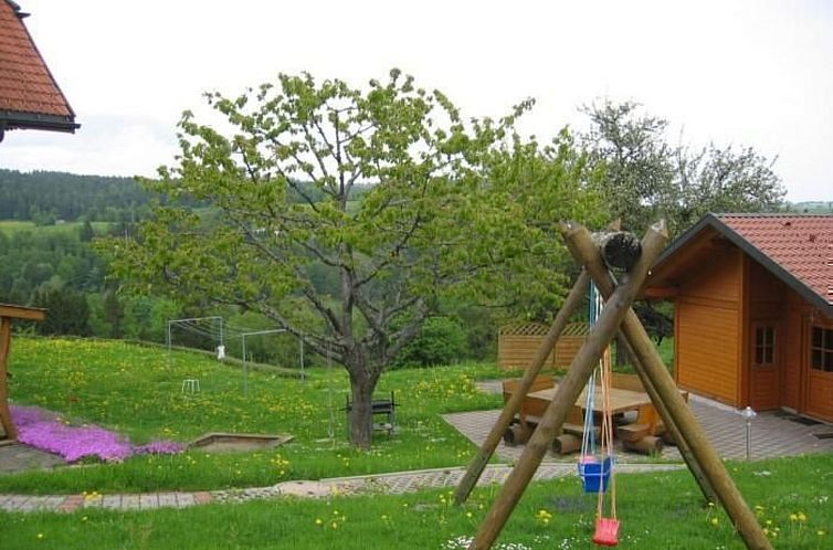 Appartement Appartement in Wittenschwand