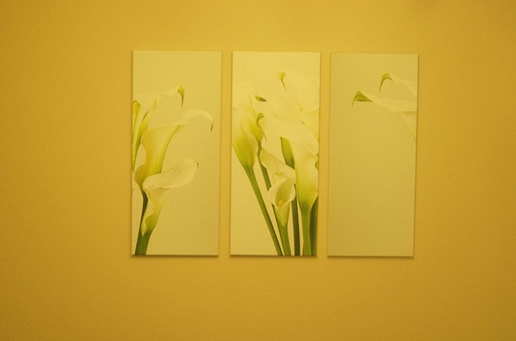 Appartement Cassiopaia in Baden-Baden