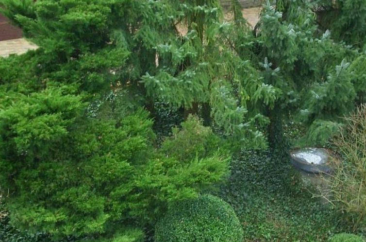 Appartement Cassiopaia in Baden-Baden
