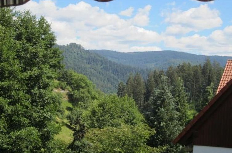 Appartement Charmante Wohnung in Bermersbach