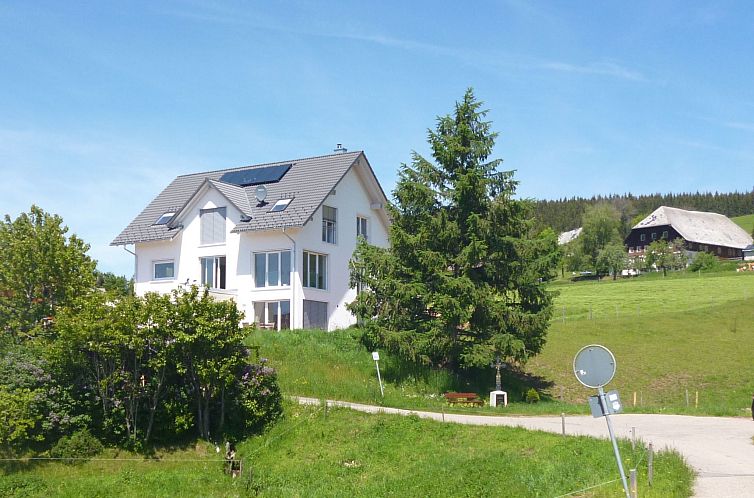 Guest house 0313703 - Apartment Black Forest - Appartement Luxus-Appartement in Kappel