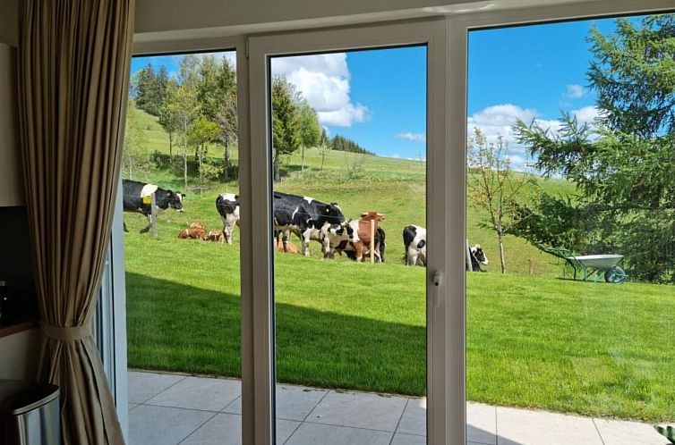 Appartement Luxus-Appartement in Kappel