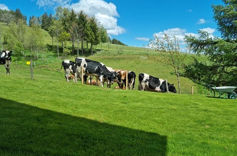 Appartement Luxus-Appartement in Kappel