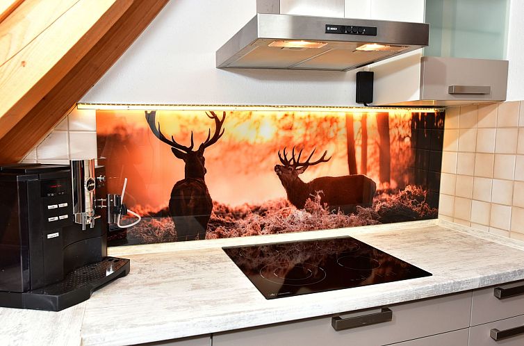 Appartement Apartment Black Forest Bollenhut Deluxe
