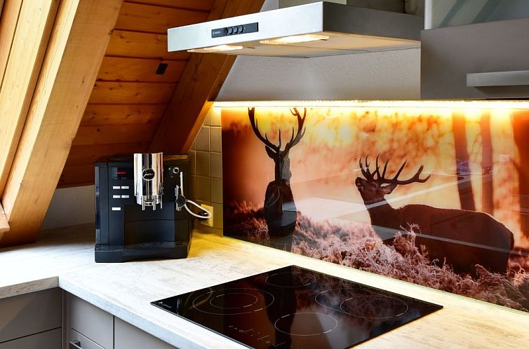 Appartement Apartment Black Forest Bollenhut Deluxe