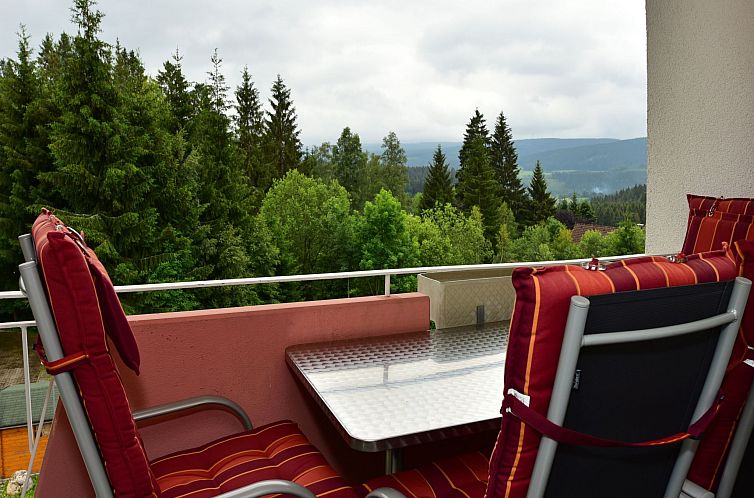 Appartement Apartment Black Forest Bollenhut Deluxe